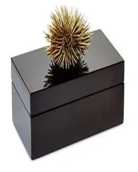 Clutter Free Light Wood Black Box