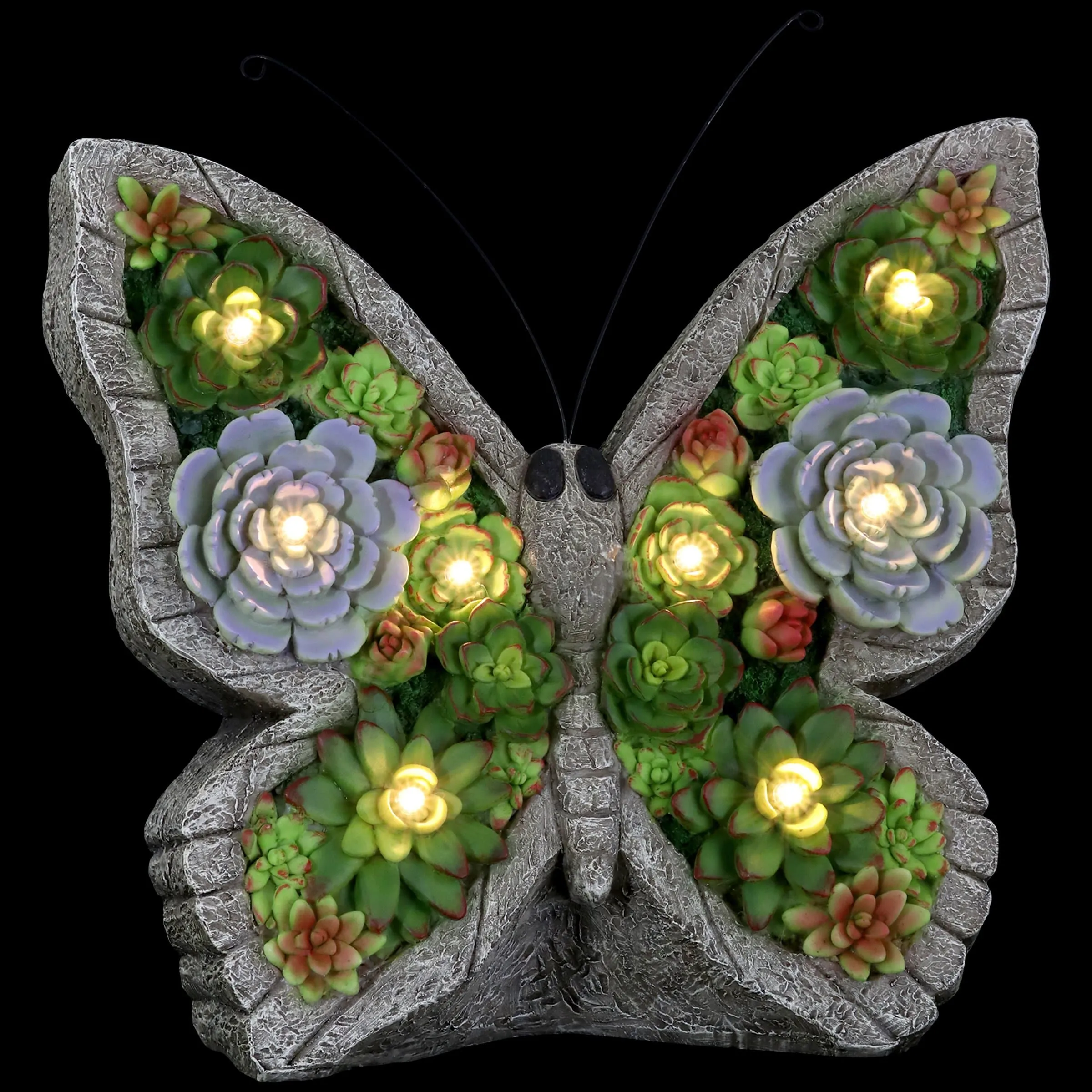 Solar Butterfly Succulent Marquee Garden Statue, 12 Inch