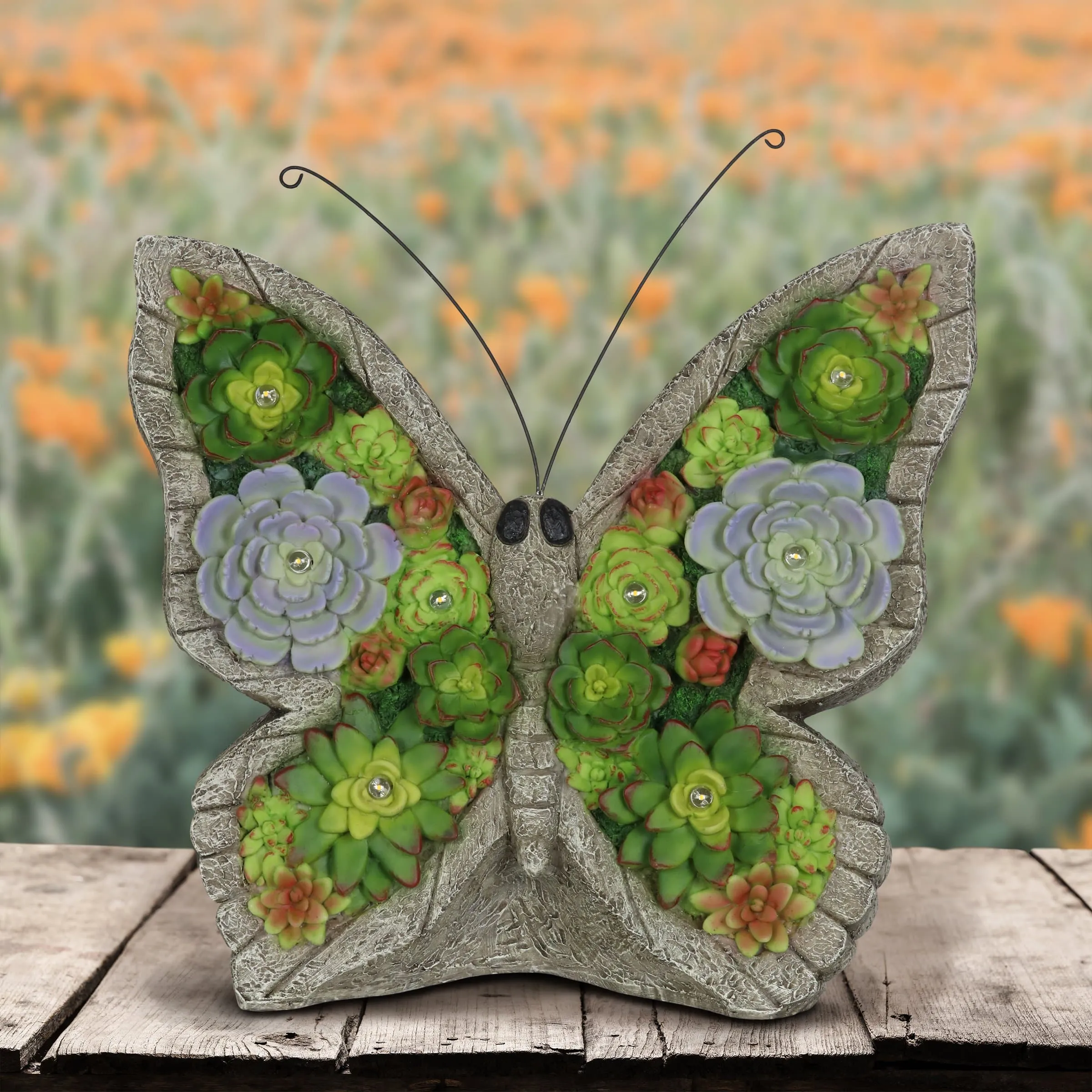 Solar Butterfly Succulent Marquee Garden Statue, 12 Inch