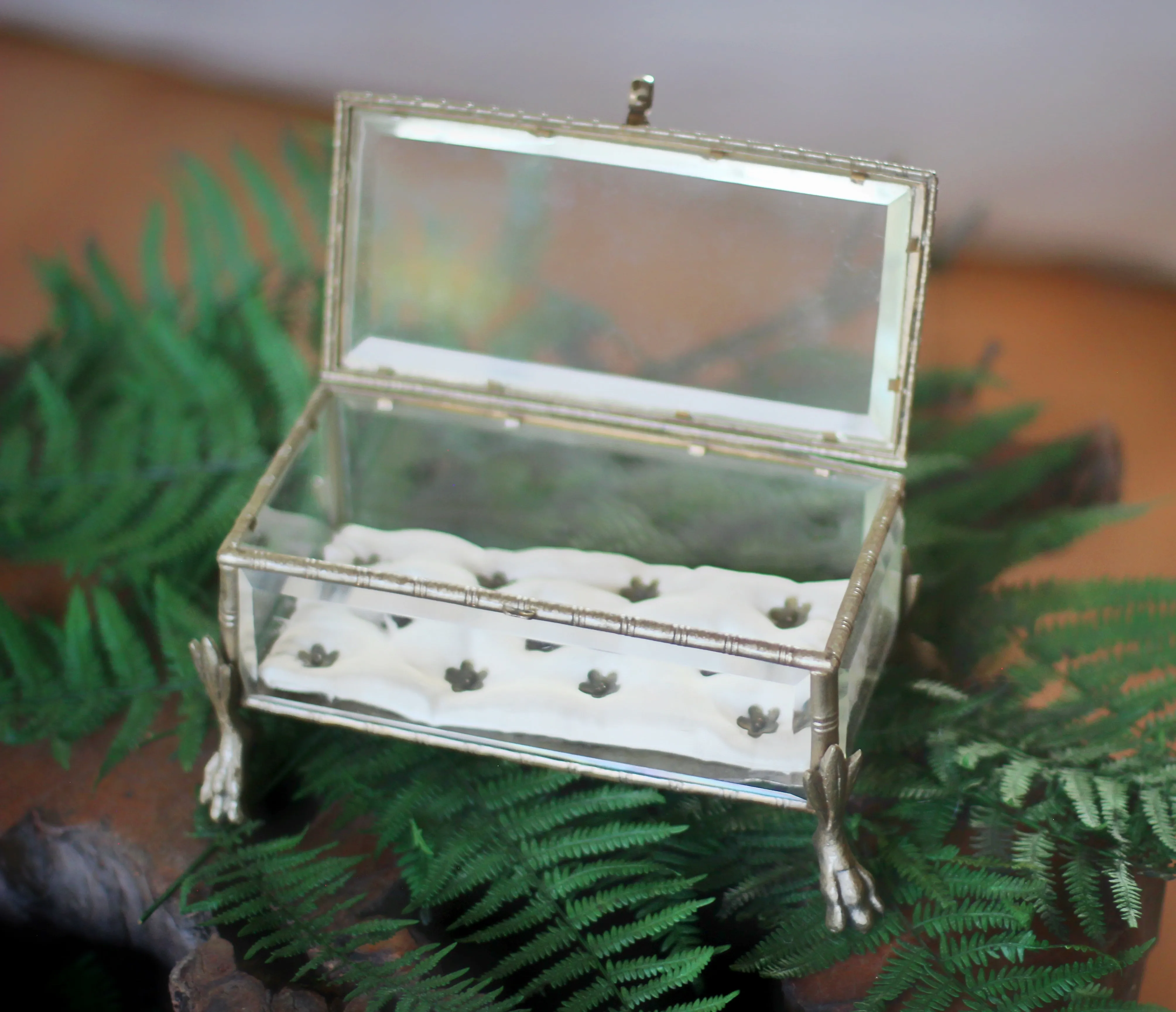 Vintage Claw Feet Platinum Jewelry Box